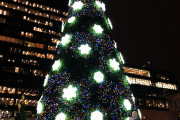 2019-12-05-17.40.51dpp